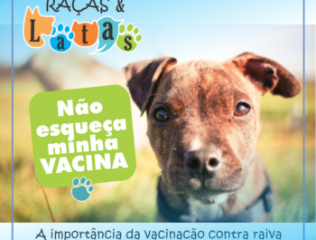 Importância da vacinacão contra raiva