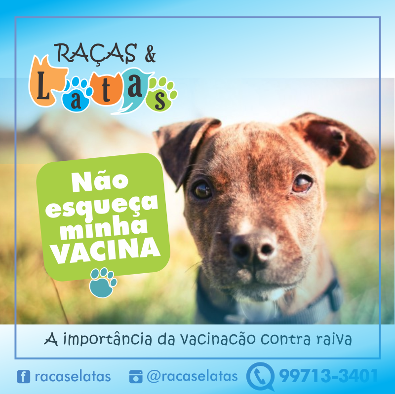 Importância da vacinacão contra raiva