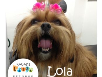 Lola