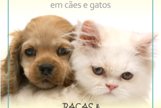 Importância da vermifugação em cães e gatos