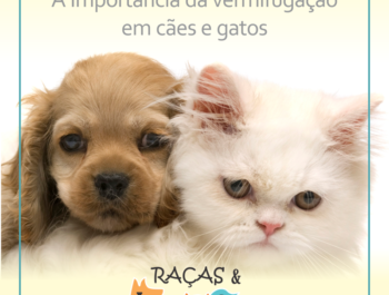 Importância da vermifugação em cães e gatos