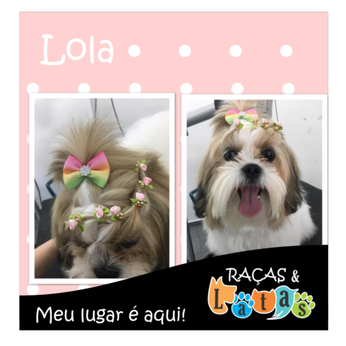 p lola1