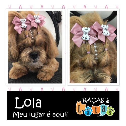 p lola2